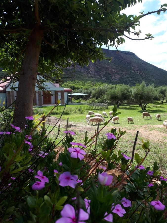 Baviaanskloof Landhuis Studtis Екстер'єр фото